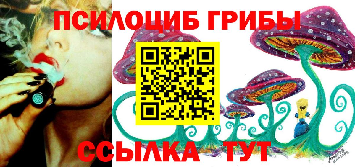 Псилоцибиновые грибы мухоморы Альметьевск
